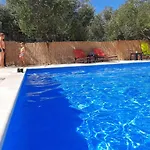 Vuk