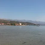 Vuk