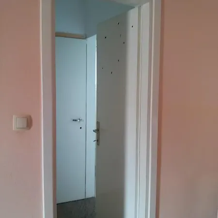 Vuk *