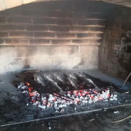 Apartmán Vuk Posedarje