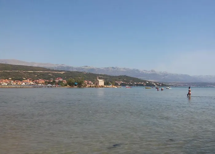 Vuk