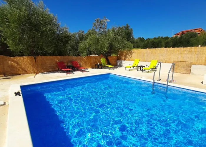 Vuk بوسيدارجي