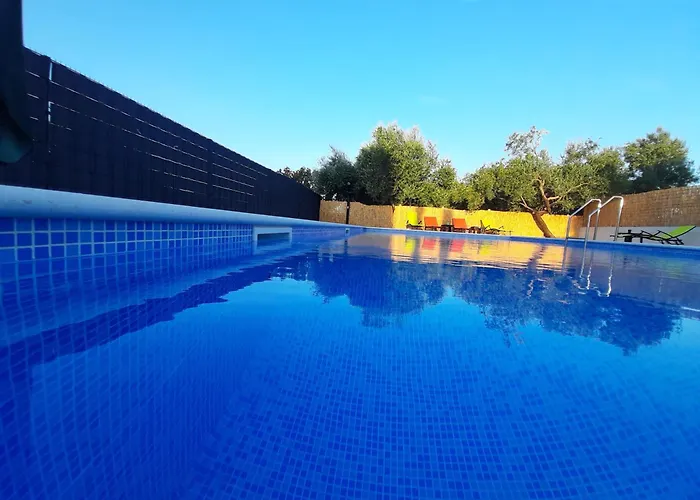 Vuk بوسيدارجي