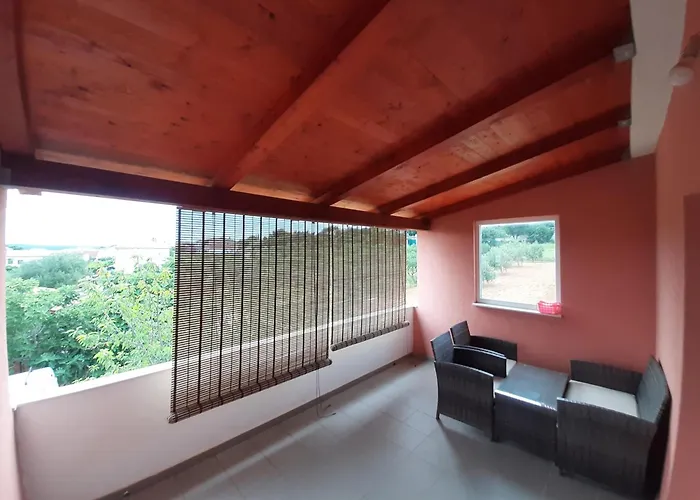 Vuk * بوسيدارجي