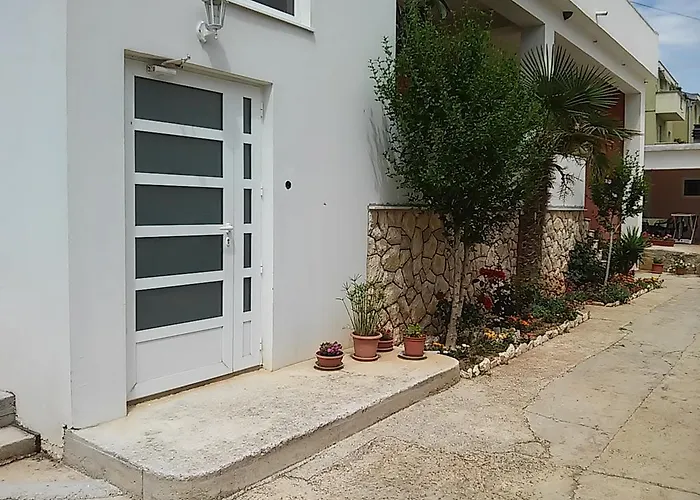 Vuk بوسيدارجي