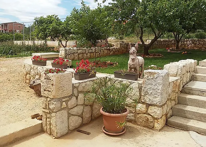 Vuk * بوسيدارجي